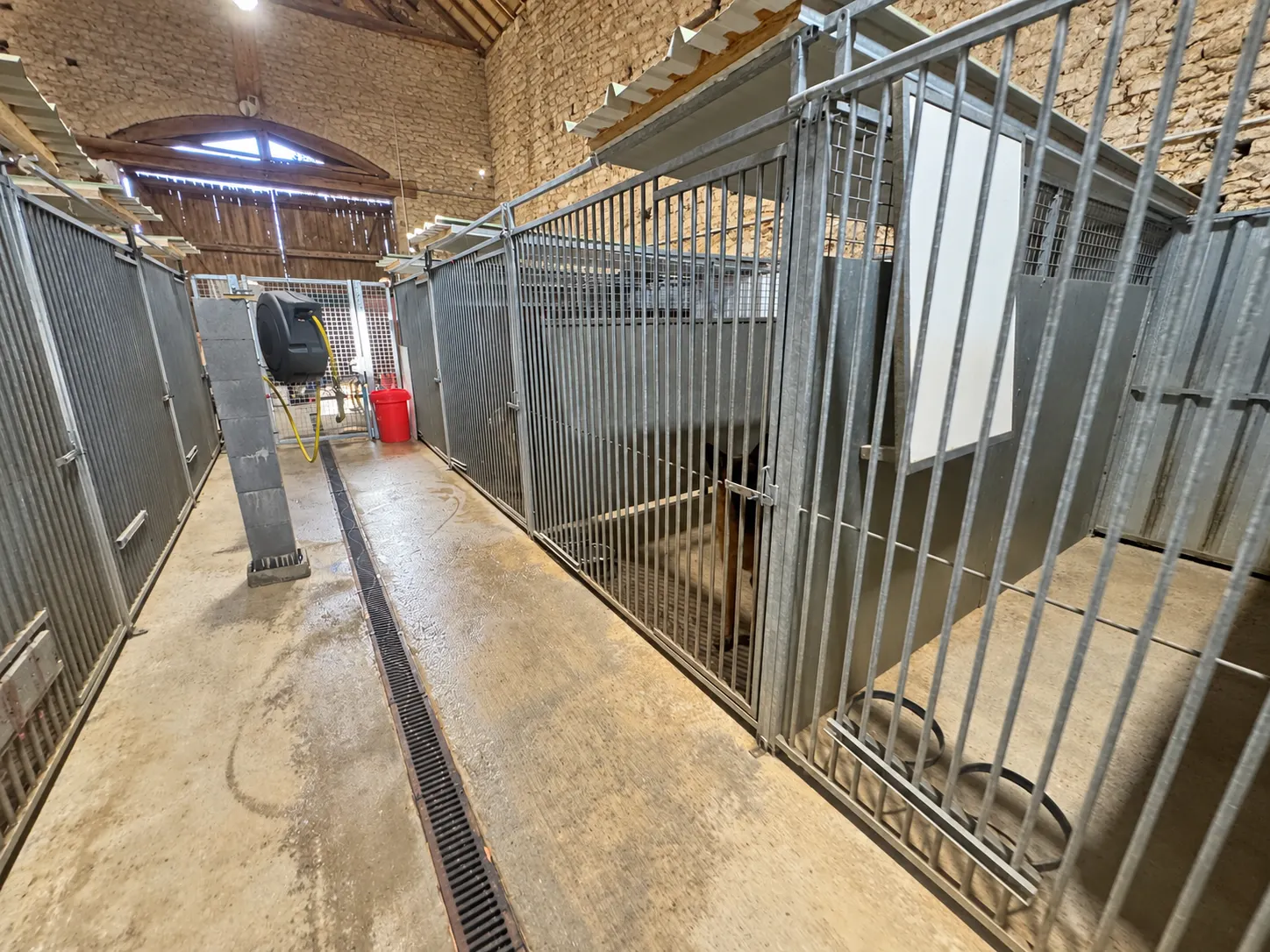 L’allée intérieure et les box de la pension canine du Domaine de Sweety Blue