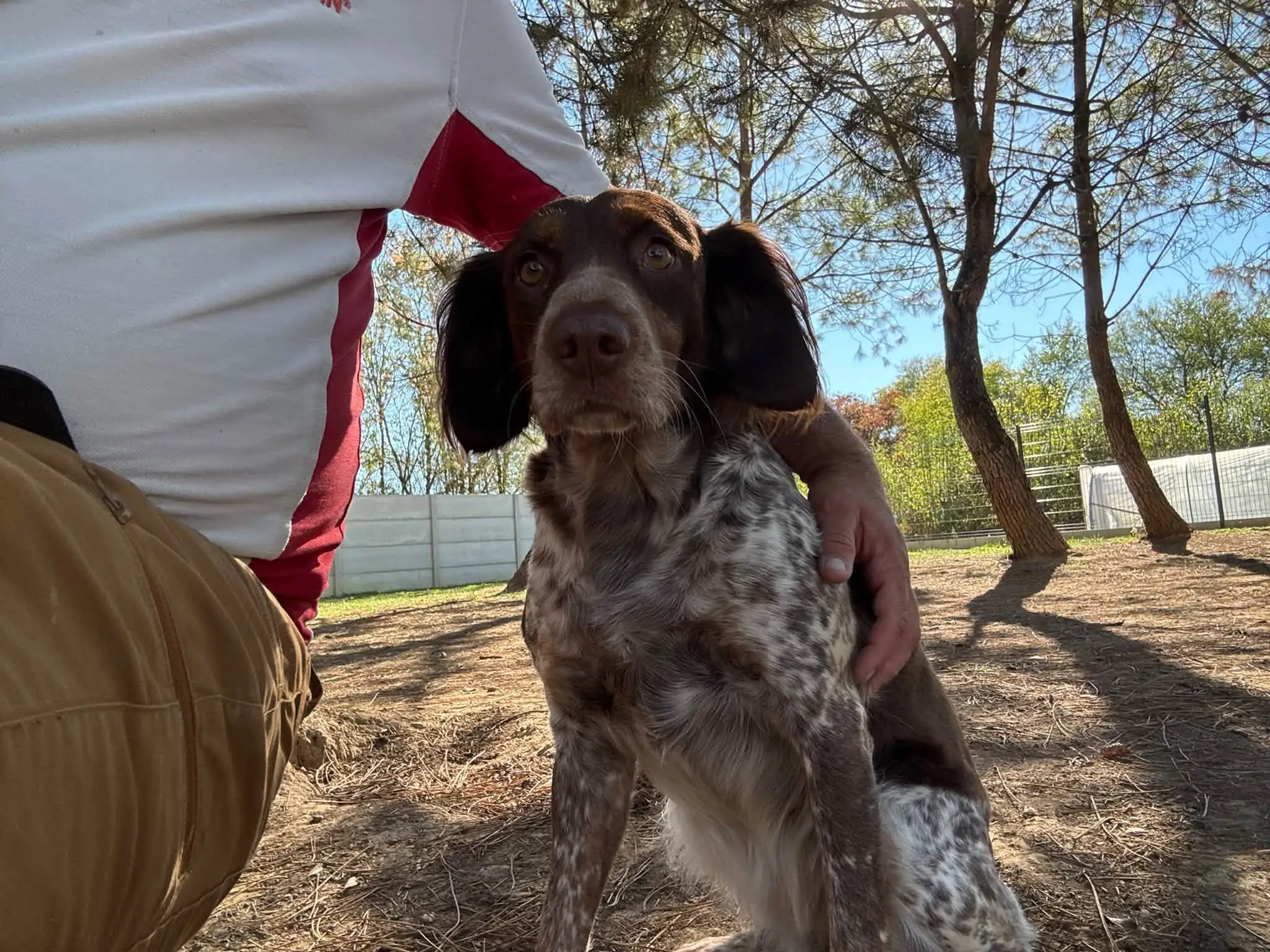 Aurélien assis auprès d’un chien dans le jardin de la pension