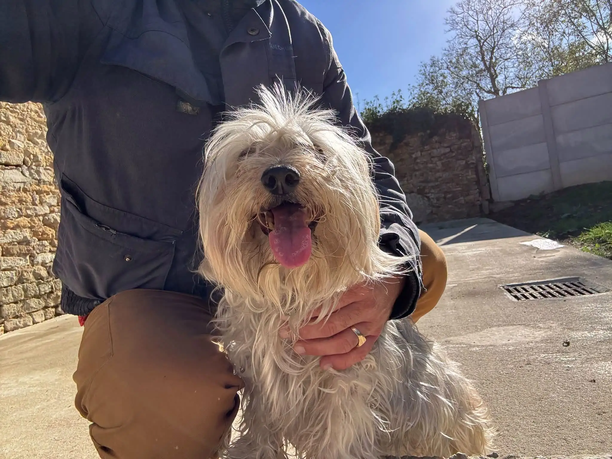 Aurélien auprès d’un chien blanc dans le jardin de la pension